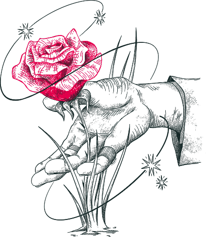 Illustrazione a tratto di una mano che regge una rosa